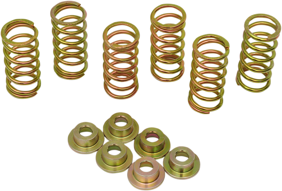 Clutch Spring Kit