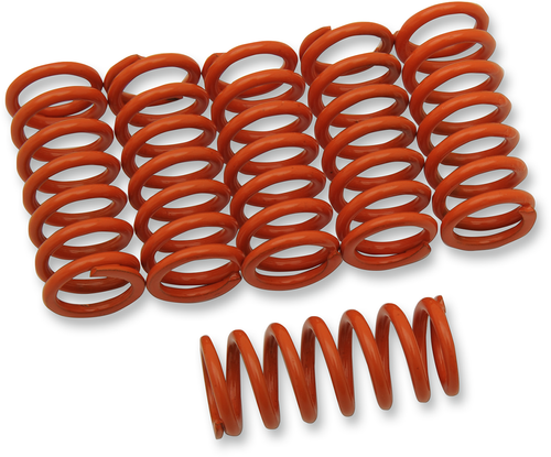 Clutch Spring Kit