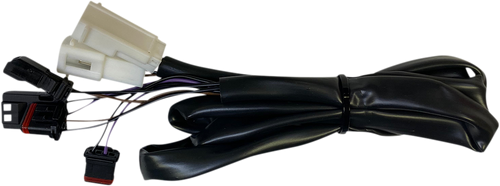 Taillight Harness - Low Rider