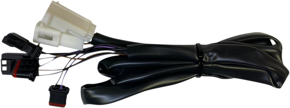 Taillight Harness - Low Rider