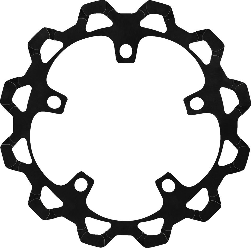 Brake Rotor - Front - 13" - Black - Lutzka's Garage