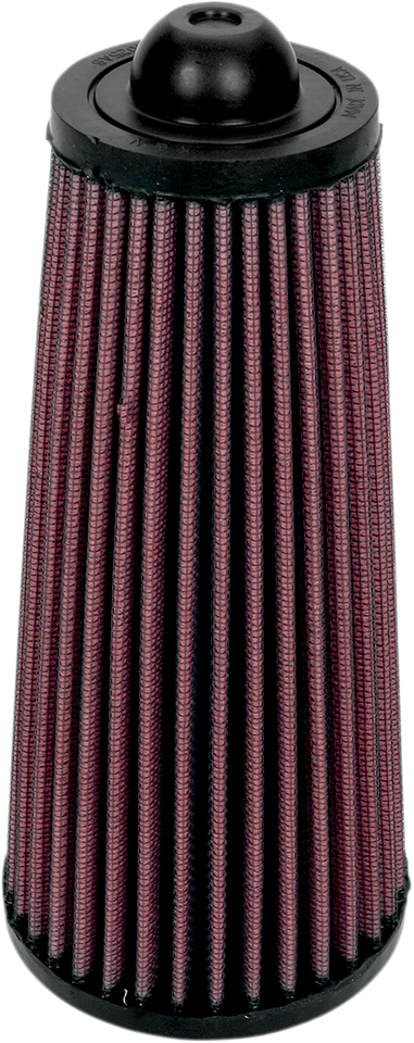 Air Filter - Blaster 00-09