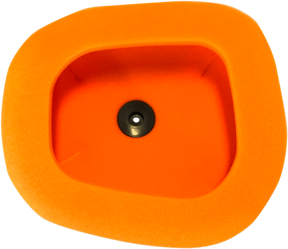 Standard Air Filter - Kawasaki