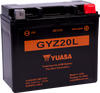 AGM Battery - GYZ20L