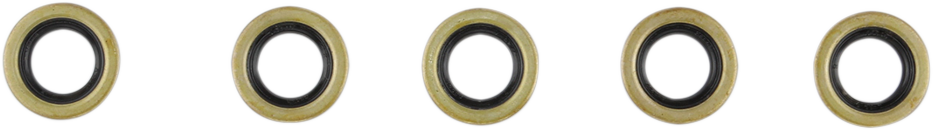 Starter Shaft Seal - EVO