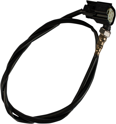 12mm Oxygen Sensor - Black - Lutzka's Garage