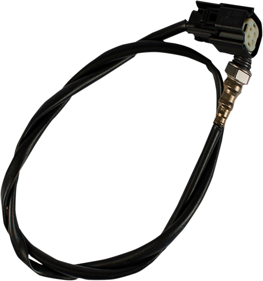 12mm Oxygen Sensor - Black - Lutzka's Garage