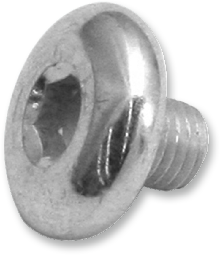 Backplate Attachment Screw - Each - 516-24 x .360