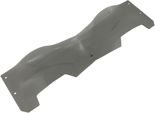 Flare Windshield - Tint - RZR