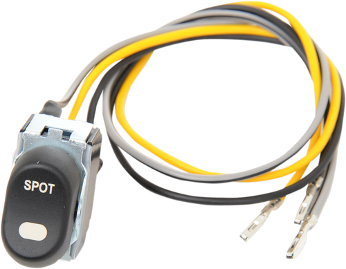 Spotight Rocker Switch - 96-13 FLT