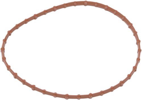 Seal For Fuel Pump Door - FLT