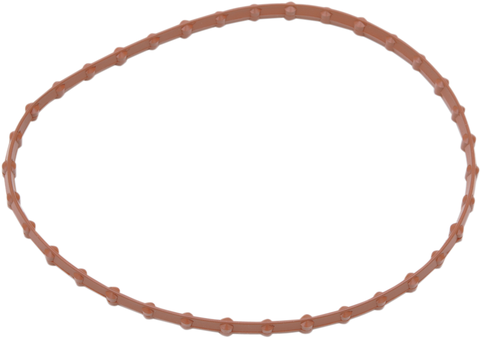 Seal For Fuel Pump Door - FLT