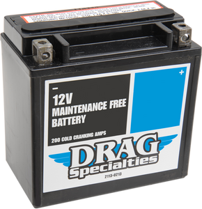 AGM Battery - YTX14LBS