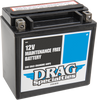 AGM Battery - YTX14LBS