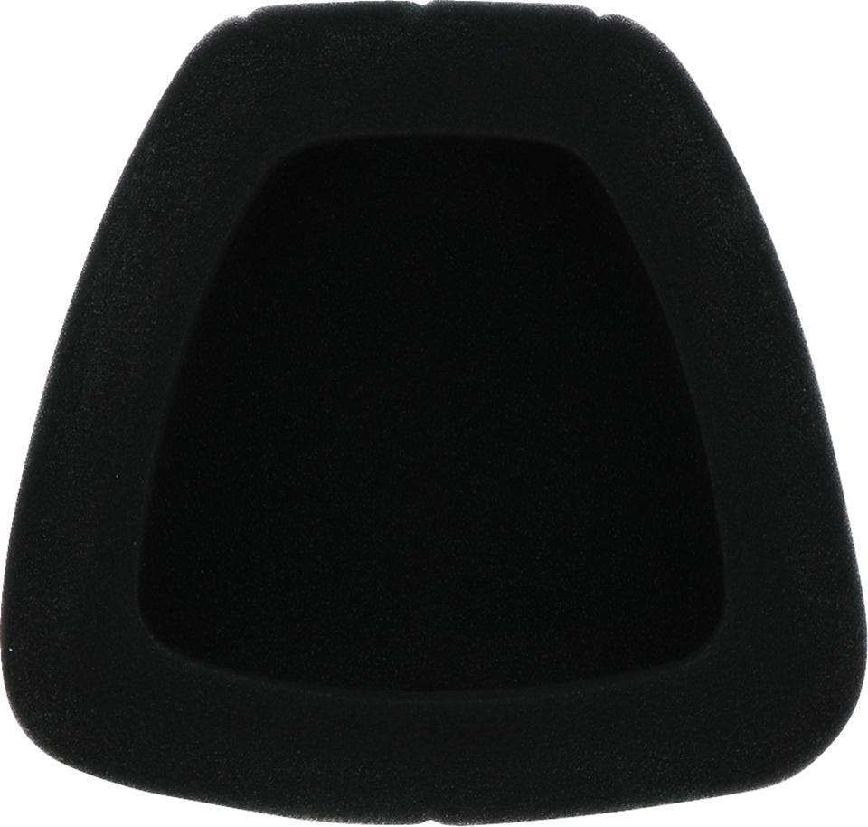 Factory Pre-Oiled Air Filter - Yamaha