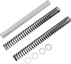 Fork Springs - 0.90 kg/mm