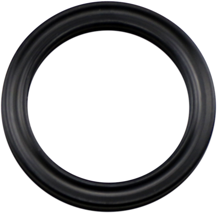 Shock Oil Seal - 16 mm