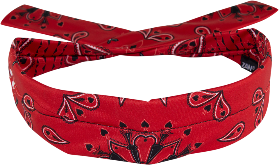 Polyester Cooldanna® - Red Paisley - Lutzka's Garage