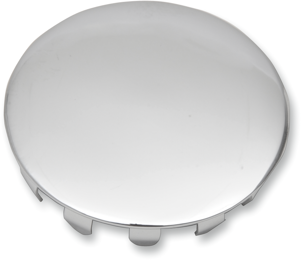 Swingarm  Pivot Shaft Cover