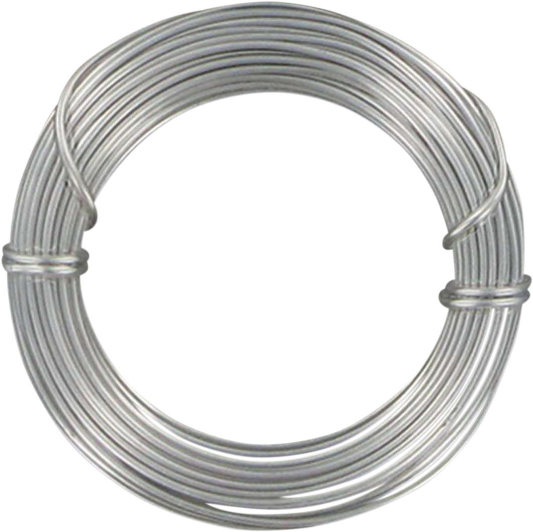 Stnles Wire 1#Can .025