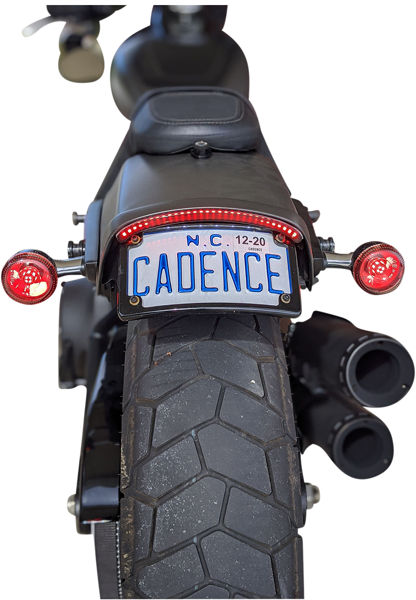 LED Tailight with Turn Signal - Red - Lutzka's Garage