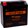 AGM Battery - GYZ16H