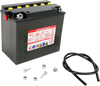 Battery - YB16HL-A-CX