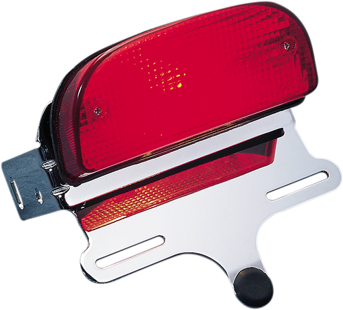Taillight/Bracket Mount - Harley Davidson
