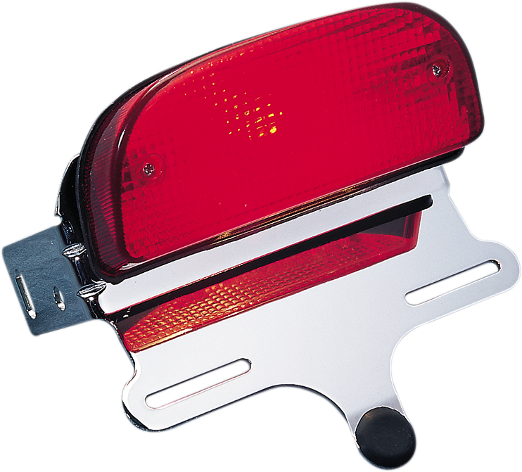 Taillight/Bracket Mount - Harley Davidson