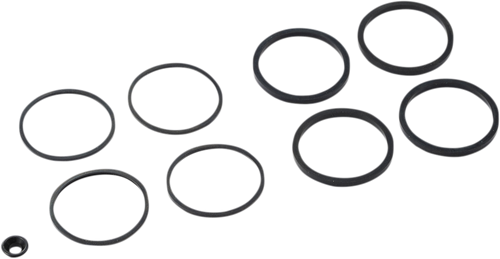 Caliper Seal Kit - FLT