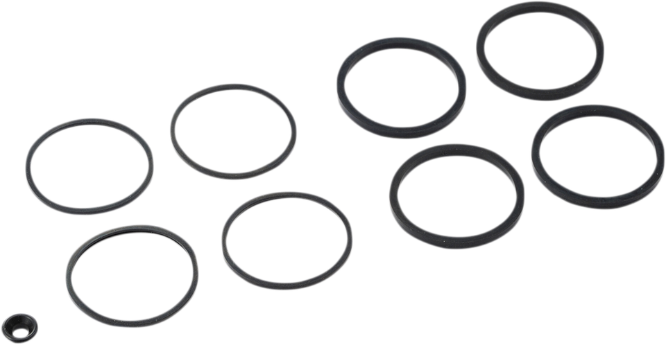 Caliper Seal Kit - FLT