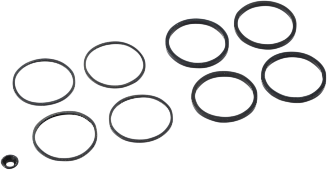Caliper Seal Kit - FLT