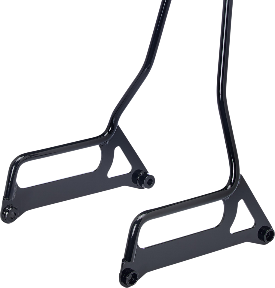 EXFIL Sissy Bar - FXD - Gloss Black - Lutzka's Garage