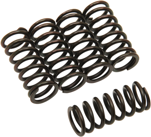 Clutch Springs