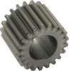 Pinion Gear
