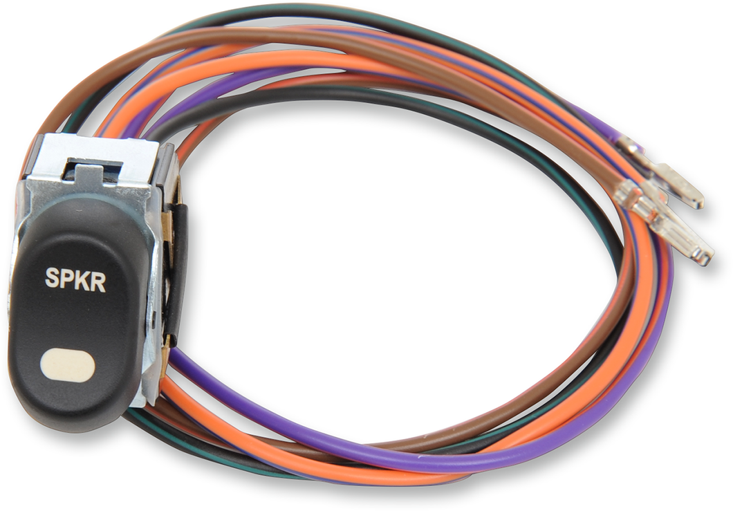 Speaker Rocker Switch - 96-13 FLT