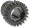 Pinion Gear