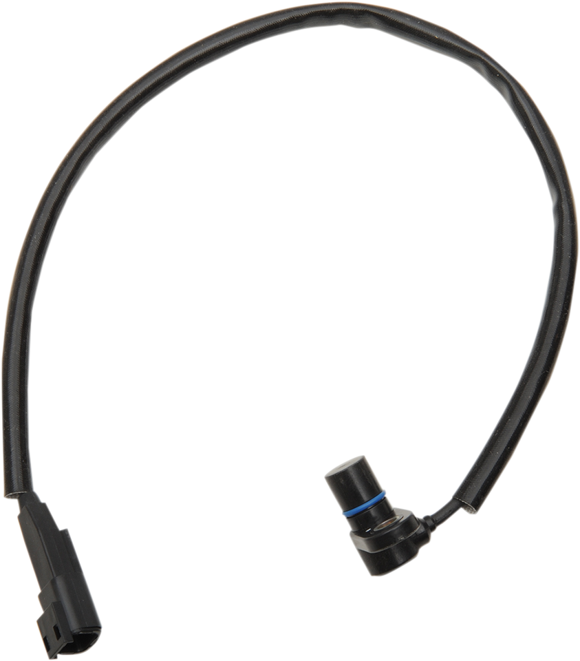 Crank Position Sensor - 00 Softail