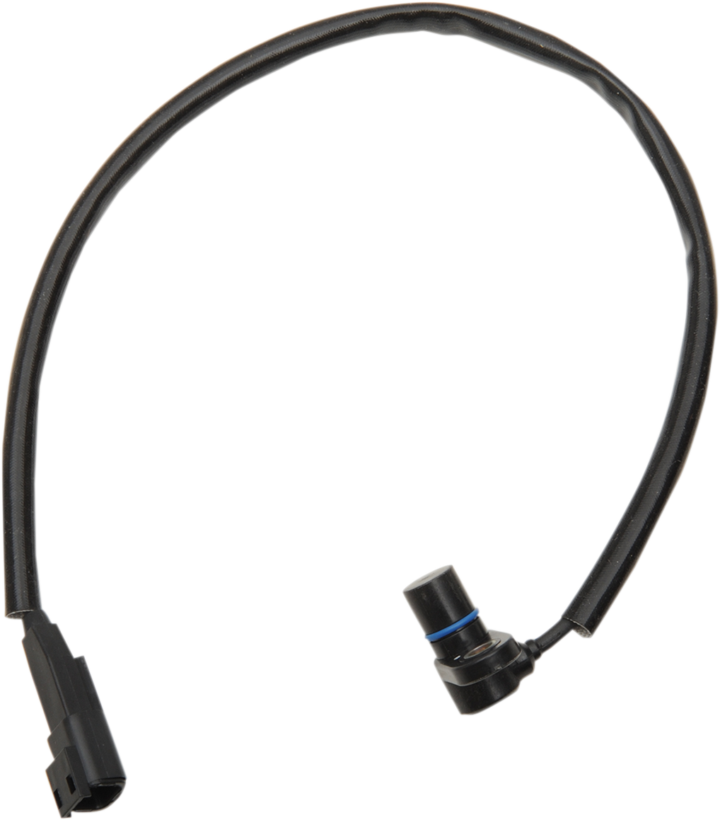 Crank Position Sensor - 00 Softail