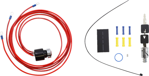 Ignition Switch - Harley Davidson