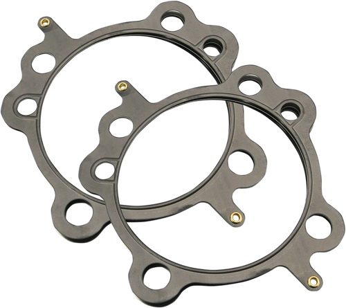 Gaskets - 4-1/8