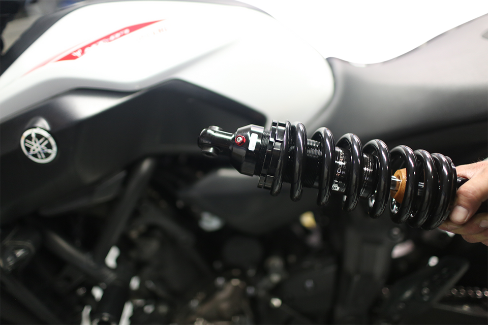 465 Shock - Standard