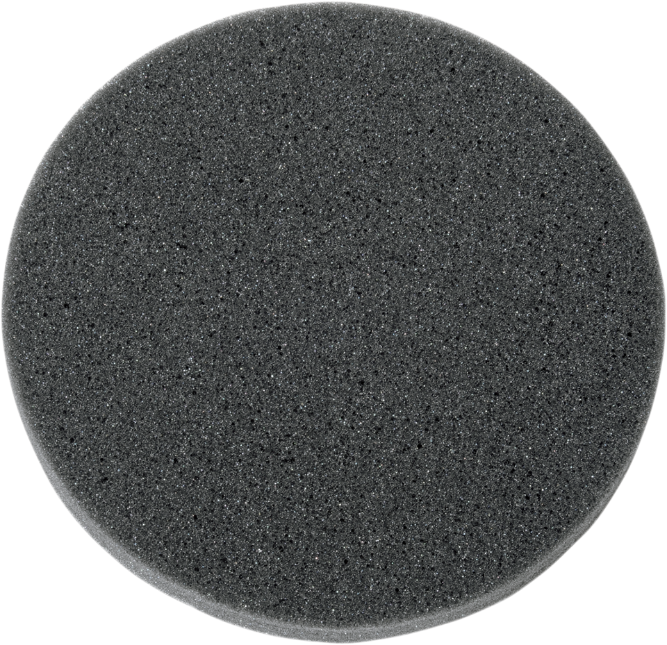 Air Filter for 1010-0191