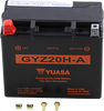 AGM Battery - GYZ20H-A