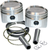 Replacement Pistons with Rings