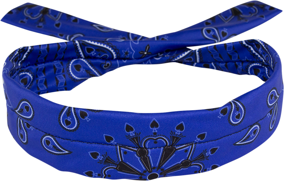 Polyester Cooldanna® - Blue Paisley - Lutzka's Garage