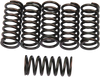 Clutch Springs