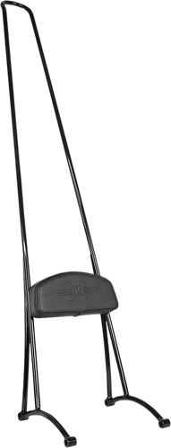 Stupid Tall Sissy Bar