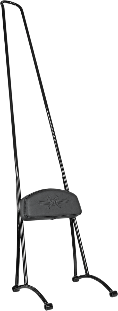 Stupid Tall Sissy Bar