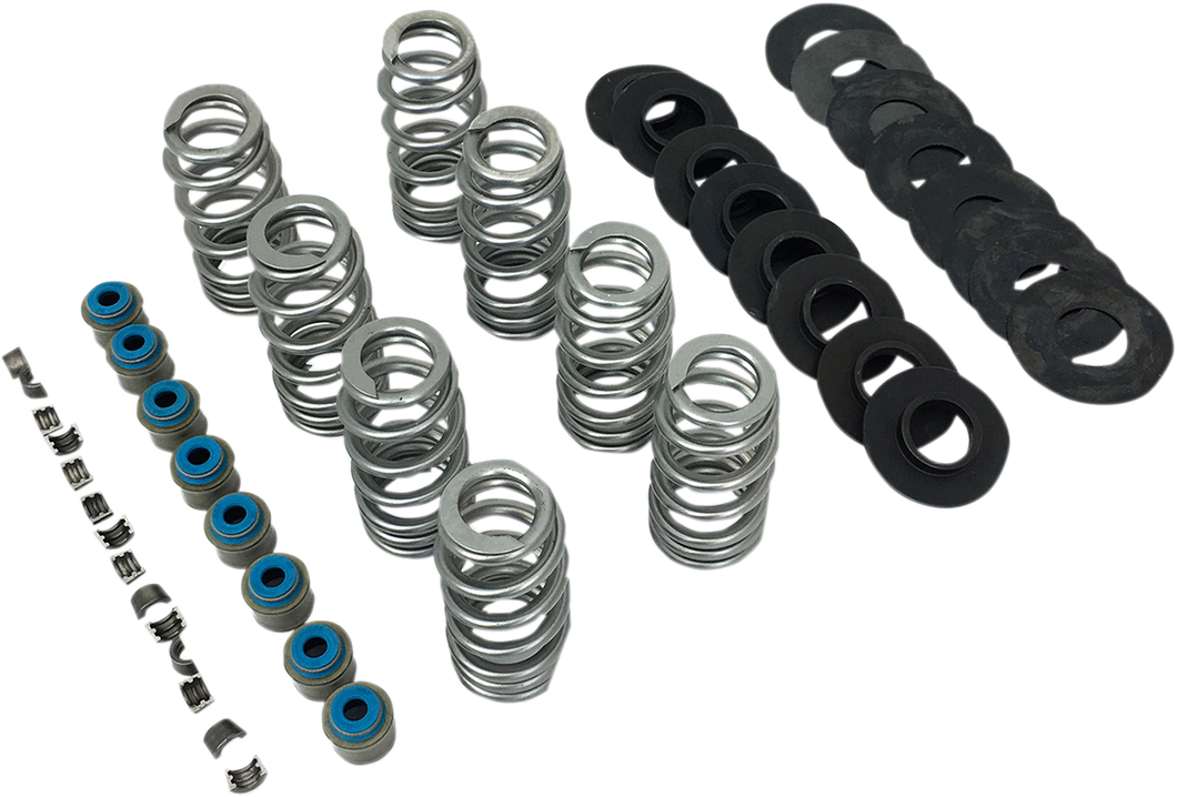Beehive Valve Spring Kit - M8